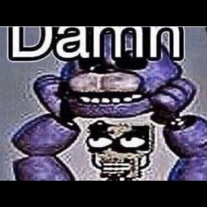 Meet your Posher, Lindsay